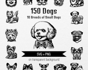 Dog Breeds Clipart: 150 SVG & PNG Illustrations (Corgi, Pug, Chihuahua)
