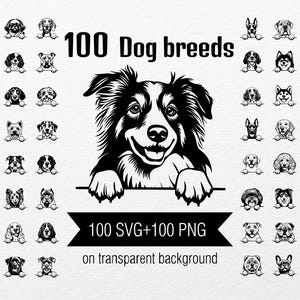 100 Images de races de chiens Peeking dogs Husky Corgi Carlin Shih Tzu Border Collie Chihuahua Bulldog Spitz Labrador Clipart SVG PNG Impression Cricut