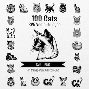100 SVG Vektorbilder von Katzen, 6 Rassen, Perserkatze, Siamkatze, Sphynx, Britische Katze, Ragdoll, Maine Coon, Porträt, Figuren, Clipart, SVG