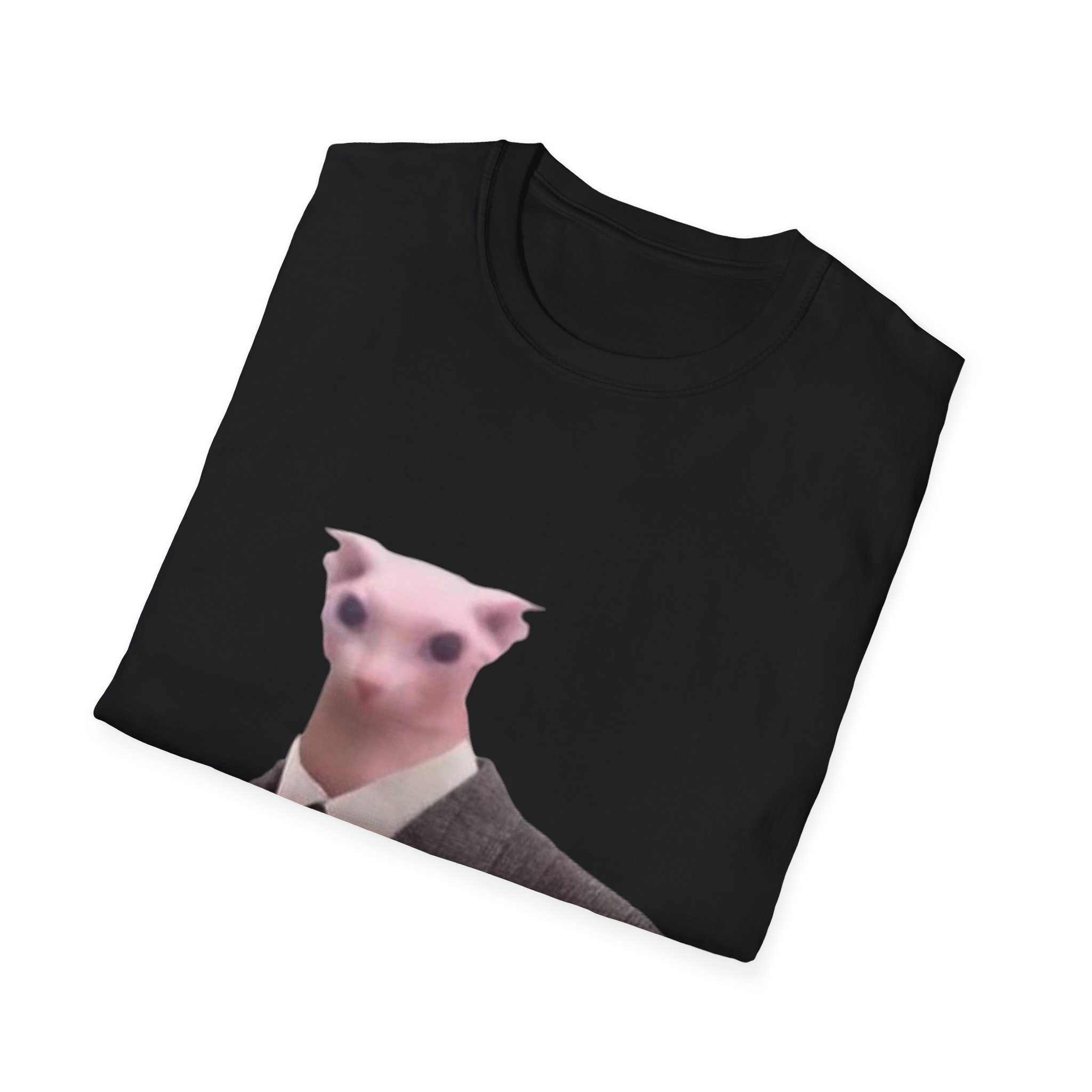 Bingus My Beloved Gay Hairless Sphinx Cat Bingus Cat Meme T- Shirt