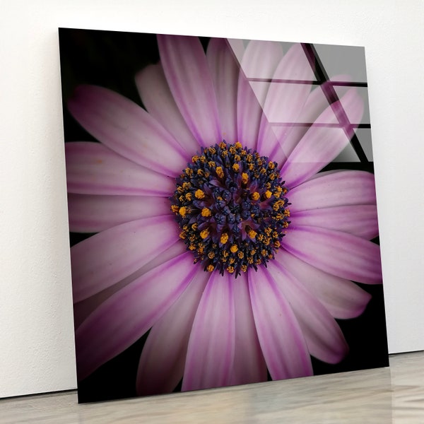 Purple Daisy, Floral Tempered Glass Artwork, Stunning Flower Wall Decor, Modern Kitchen Enhancement, Unique Mother's Day Present