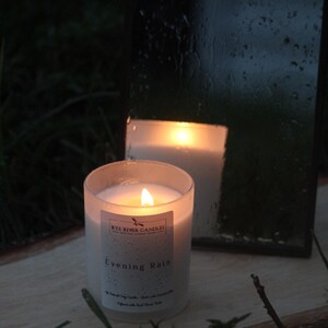 Evening Rain image 6