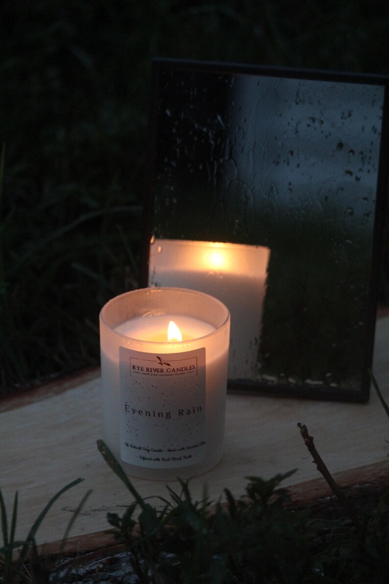Evening Rain image 6