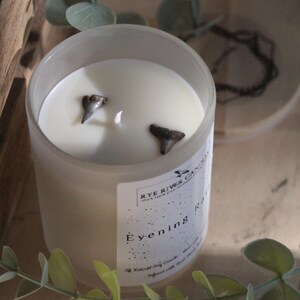 May include: A white candle in a clear glass jar with a white label that says "Rye River Candles" and "Evening Rain". The candle has two small shark teeth embedded in the wax.
