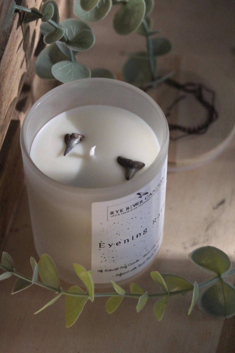 May include: A white candle in a clear glass jar with a white label that says "Rye River Candles" and "Evening Rain". The candle has two small shark teeth embedded in the wax.