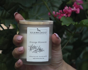 Orange Blossom