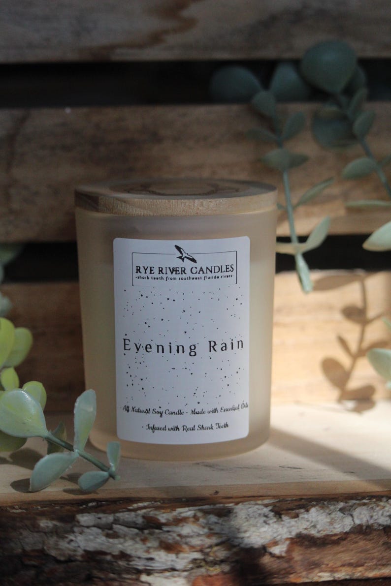 May include: A frosted glass candle jar with a wooden lid. The label reads "Rye River Candles" and "Evening Rain". The candle is made with soy wax and essential oils and infused with real shark teeth.