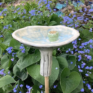 Könnte beinhalten: Ein Vogelbad aus Keramik in Form eines Pilzes mit einer hellblauen und weißen Glasur. Das Vogelbad hat eine kleine grüne und gelbe Blume oben drauf. Das Vogelbad steht in einem Garten mit blauen Blumen.