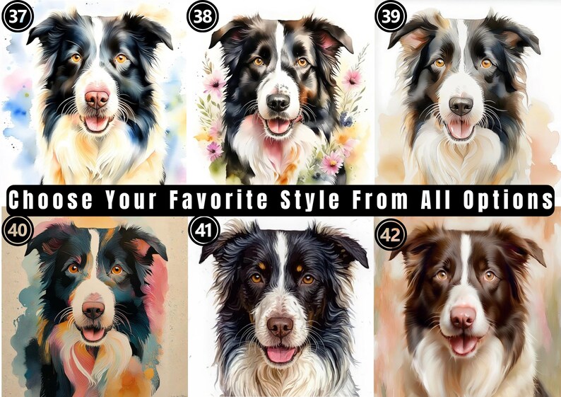May include: Six watercolor-style portraits of Border Collie dogs labeled 37 through 42. Each dog features distinct black, white, and brown markings with expressive eyes and open mouths. The text CHOOSE YOUR FAVORITE STYLE FROM ALL OPTIONS is centered.