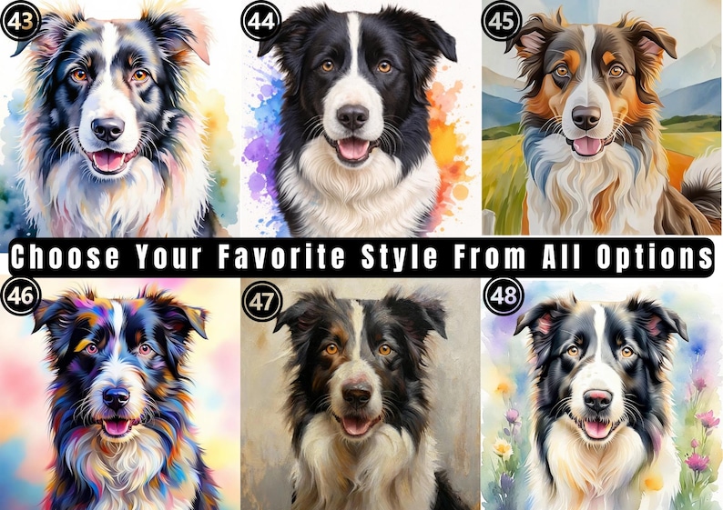 May include: A collection of six distinct artistic portraits of Border Collie dogs, numbered 43 through 48, featuring varied watercolor and vibrant color palettes. The text "CHOOSE YOUR FAVORITE STYLE FROM ALL OPTIONS" is centered below the top row.