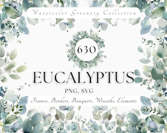 May include: Watercolor Greenery Collection featuring 630 Eucalyptus PNG and SVG files. Includes frames, borders, bouquets, wreaths, and elements.