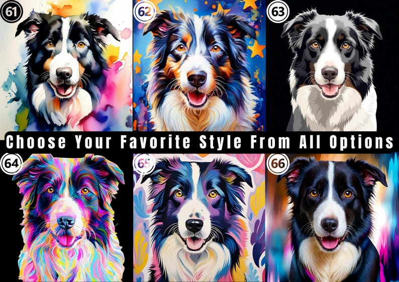 May include: A collection of six distinct artistic portraits of a black and white Border Collie dog, labeled 61 through 66, featuring varied colorful backgrounds and painterly styles, with the text Choose Your Favorite Style From All Options.