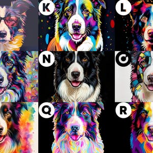 May include: A collection of nine square portraits featuring Border Collie dogs in various artistic styles. Each image displays a dog with distinct color palettes, including vibrant neon, watercolor splashes, and geometric patterns, labeled with letters J through R.