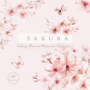 Sakura Watercolor Cherry Blossoms Clipart,Sakura Clipart,Pink Floral Frames,Pink PNG Frames Clipart,Blush Pastel Clipart Borders,Premade SVG