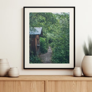 Casa en un bosque, fotografía de pinos, cartel del bosque brumoso, bosque verde, descarga digital