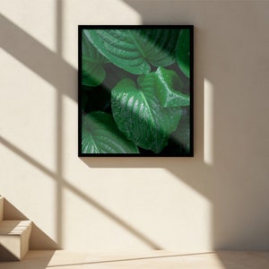 Leaf wall art, Home decor, Tropical leaf, Artwork, Green Forest, Original Photo