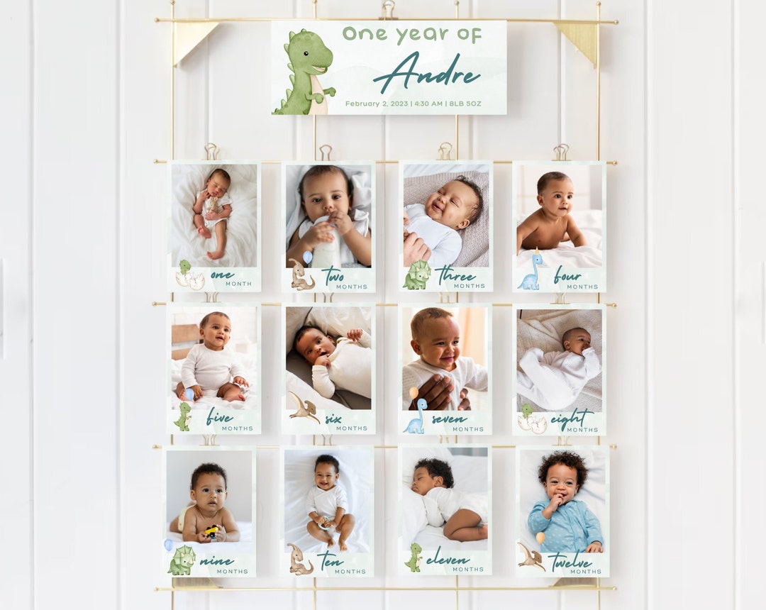 Milestone Cards First Birthday Dinosaur Theme Baby Boy Party Decor ...