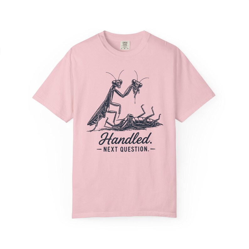 Funny Sarcastic Shirt, Dark Humor Tee, Sassy Women's Shirt, Dry Humor Gift, Praying Mantis Shirt, Funny Insect Tee, Attitude Humor Gift image 15