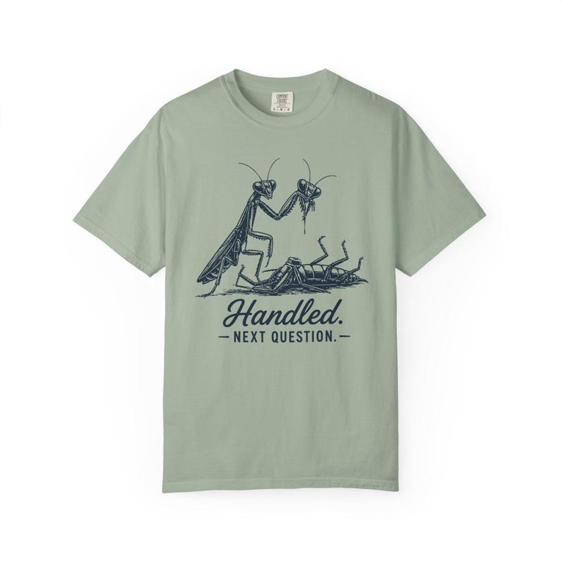 Funny Sarcastic Shirt, Dark Humor Tee, Sassy Women's Shirt, Dry Humor Gift, Praying Mantis Shirt, Funny Insect Tee, Attitude Humor Gift image 9