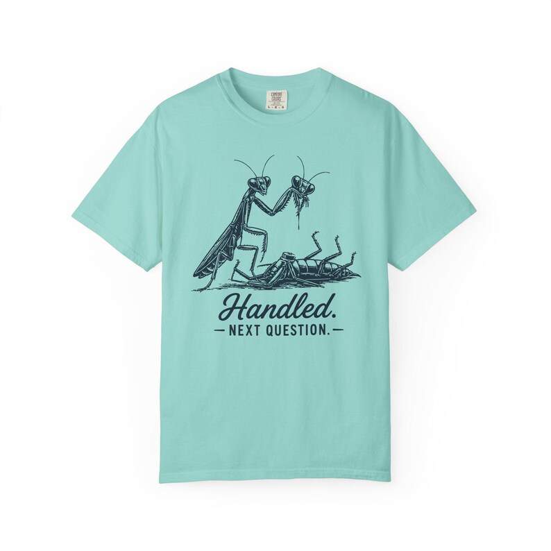 Funny Sarcastic Shirt, Dark Humor Tee, Sassy Women's Shirt, Dry Humor Gift, Praying Mantis Shirt, Funny Insect Tee, Attitude Humor Gift image 11
