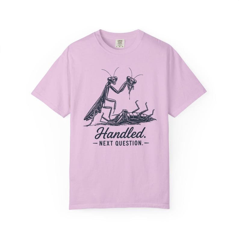 Funny Sarcastic Shirt, Dark Humor Tee, Sassy Women's Shirt, Dry Humor Gift, Praying Mantis Shirt, Funny Insect Tee, Attitude Humor Gift image 14