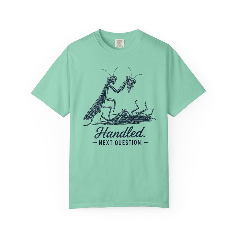 Funny Sarcastic Shirt, Dark Humor Tee, Sassy Women's Shirt, Dry Humor Gift, Praying Mantis Shirt, Funny Insect Tee, Attitude Humor Gift image 10