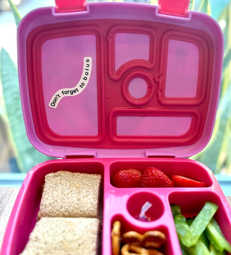 Pode incluir: Lancheira rosa com v&aacute;rios compartimentos. A lancheira est&aacute; aberta e cont&eacute;m um sandu&iacute;che, morangos, pretzels e aipo. Um adesivo na tampa diz "N&atilde;o se esque&ccedil;a de fazer uma bolus".