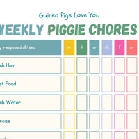 Image showcasing Guinea Pig Planner Printable for Children, Chore Chart for Kids, Guinea ...