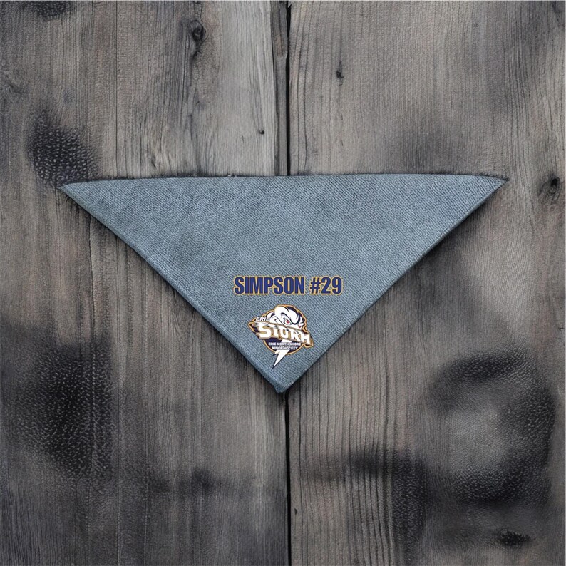 May include: A gray triangular bandana with the text "SIMPSON #29" and a logo of a white bird with the text "The STORM" in yellow and blue.