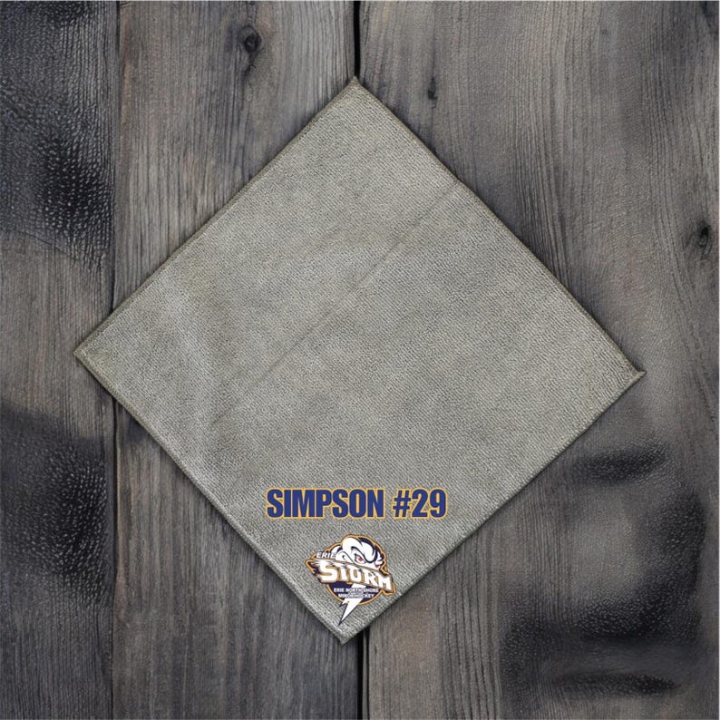 May include: A gray, diamond-shaped patch with the text "SIMPSON #29" in black. A blue and white logo with the text "THE STORM" is below the text.