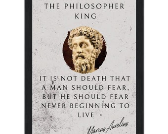 Inspirational Poster, Framed Poster, Home Decor, Stoic Poster, Stoicism, Marcus Aurelius Quote, Philosophical Poster