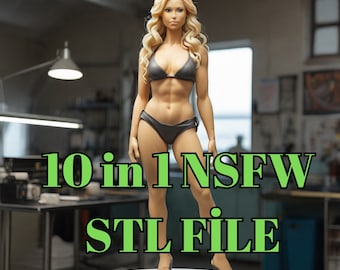 10 in 1 Nfsw figure archive Digital Downloand