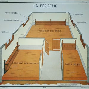 May include: A diagram of a sheep barn, or bergerie, with labeled sections for the lambs, ewes, and rams. The diagram shows the different features of the barn, including the hay rack, the manger, and the manure pit.