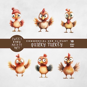 Schrullig Truthahn Clipart, Aquarell lustiger Vogel Tierbilder Illustrationen Druckbare Herbst Kunst Alberne Türkei Sofortiger digitaler Download PNG