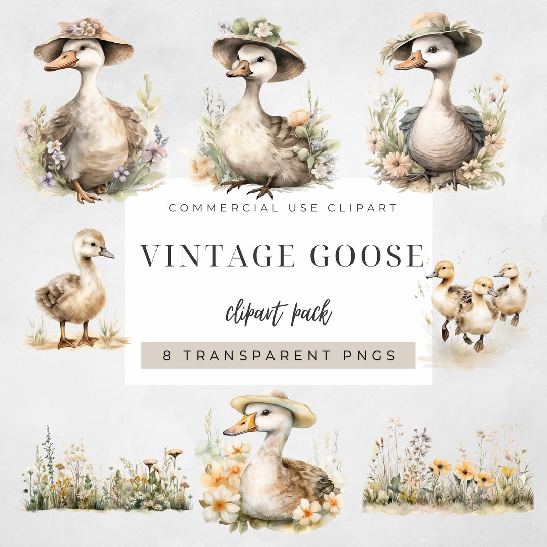 Vintage Goose Clipart and Baby Geese, Watercolor Nursery Children ...