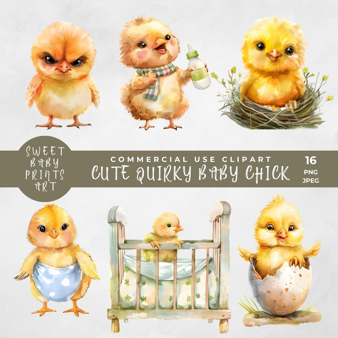 Cute Quirky Baby Chick Clipart, Watercolor Funny Quirky Farm Animals ...