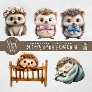 Clipart hérisson bébé original, mignon bébé animaux illustrations ou images pour baby shower ou chambre d'enfant, téléchargement numérique PNG