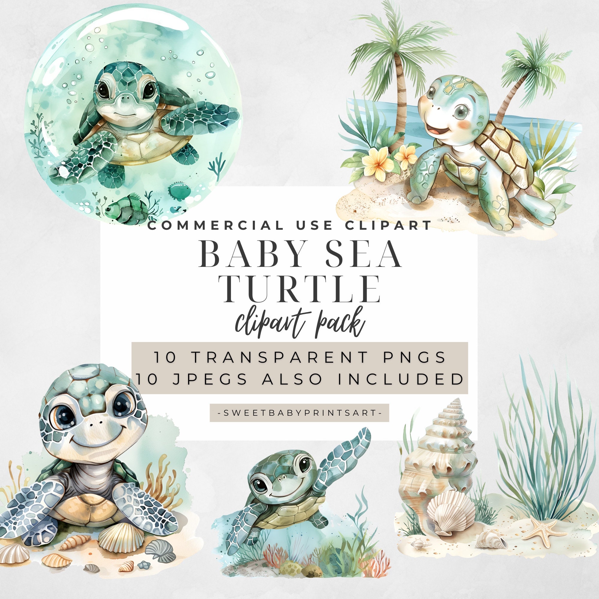 Watercolor Baby Sea Turtle PNG, Baby Sea Animals Summer Clipart, Cute ...
