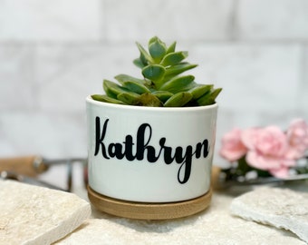 Succulent Gift Live Personalized Housewarming gift box new neighbor gift box welcome to the neighborhood gift box Gift box for new neighbors