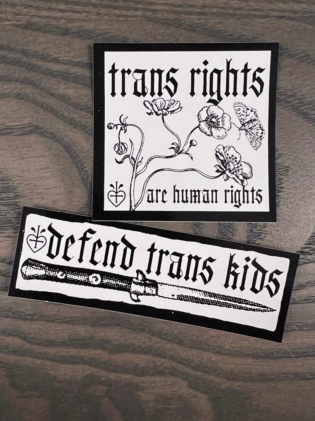 Trans Rights Sticker 2-pack Trans Rights Glossy Vinyl Sticker Set - Etsy