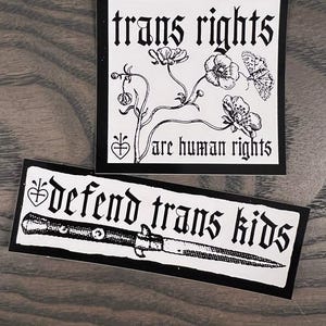 2er Pack Trans Rechte glänzende Vinyl Aufkleber Set