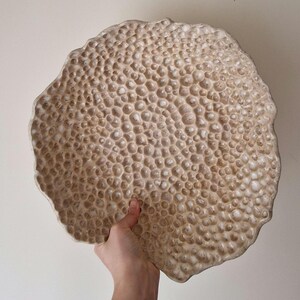 Op de afbeelding: Een grote, beige keramische schaal met een getextureerd, bubbelachtig oppervlak. De schaal heeft een onregelmatige, organische vorm en wordt door een hand vastgehouden. Het oppervlak van de schaal is bedekt met kleine, afgeronde bobbels, wat een unieke, tactiele uitstraling creëert. Het is een decoratief item.