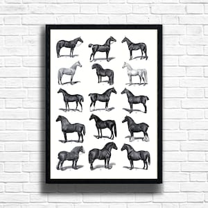 Vintage Horse Illustration Art Print: Farm Animal Botanical Wall Decor