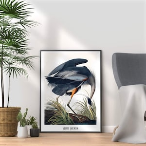 Blue Heron Print: John James Audubon, Vintage Bird Art