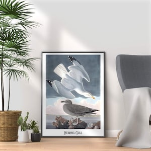 Herring Gull Print: John James Audubon, Vintage Bird Illustration