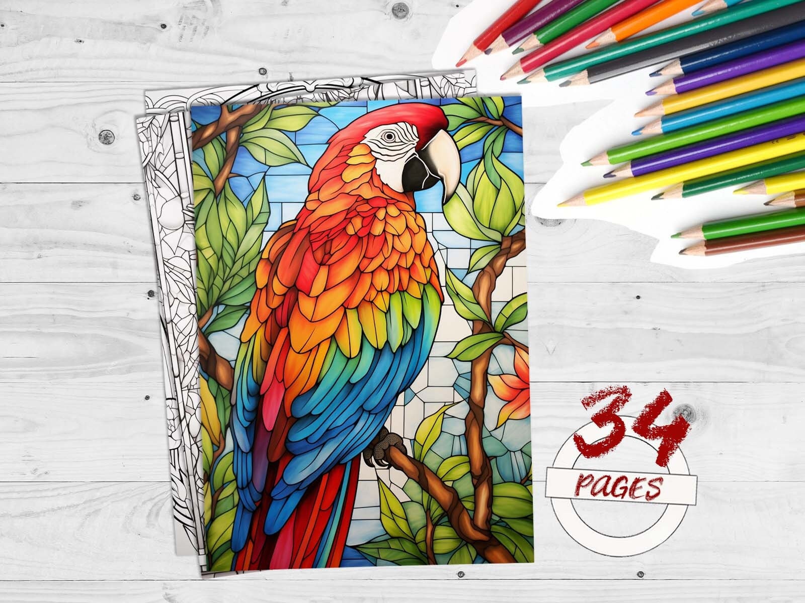 Página para colorear de guacamayo - Etsy España p-gina-para-colorear-de-guacamayo-etsy-espa-a