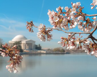 Washington, D.C. - póster grande