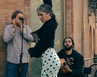 Artistas flamencos - cartel grande