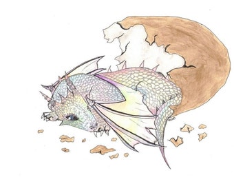 Rainbow dragon baby