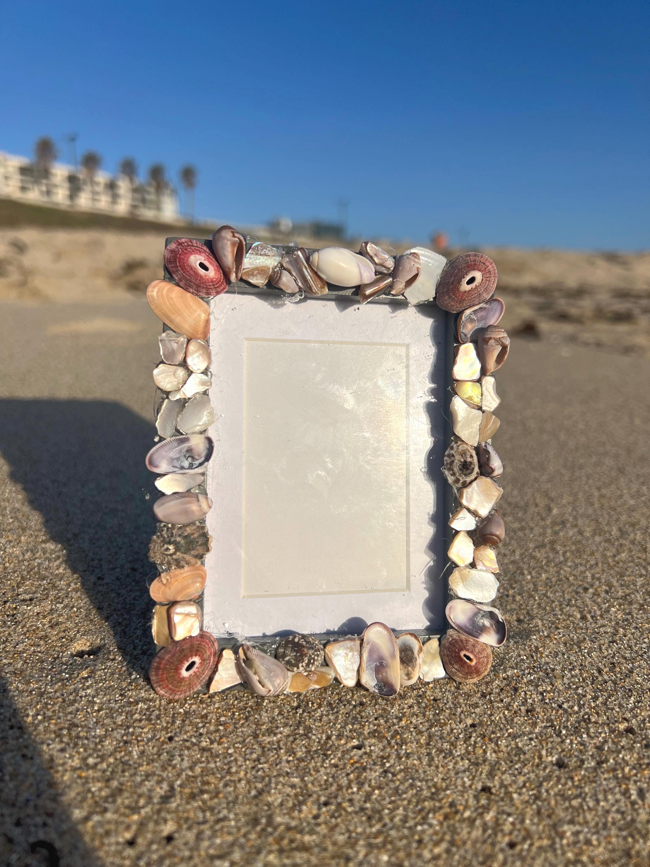 マルトミ SHELL Picture Frame ポストモダン スペースエイジ Seashell Fujifilm Mini Picture Frame - Etsy